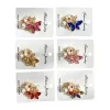 Fashionable jewelry earrings, elegant design, light luxury, versatile women's accessories, brooch, French style Application Scenario